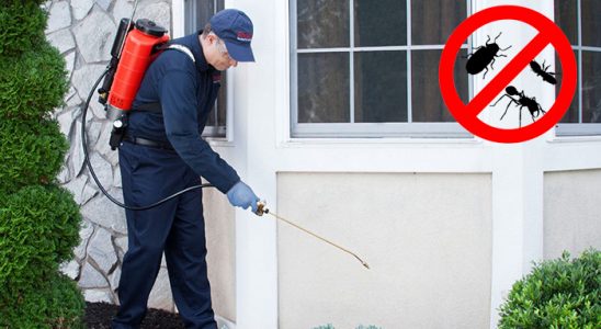 Nallıhan Akrep İlaçlama böcek ilaçlama ve haşere kontrolü — ilaclama-tr.com